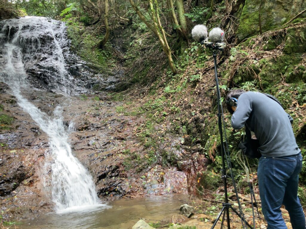 field recording